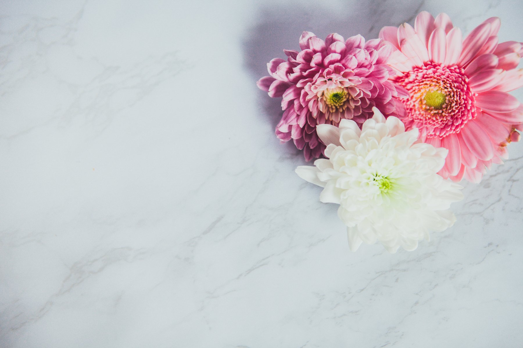Blog photography tips for beginners