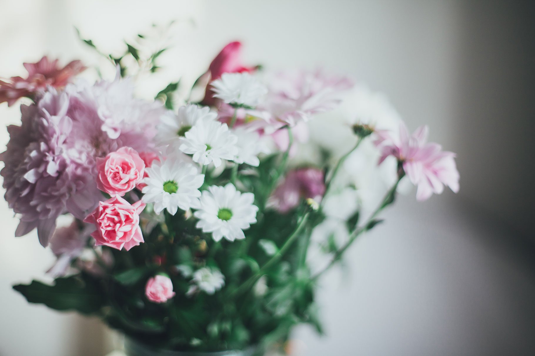 Blog photography tips for beginners