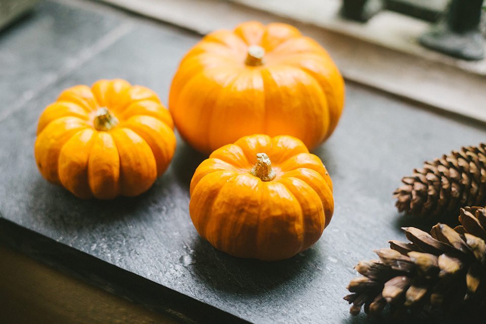 Mini Pumpkins Autumn Challenge