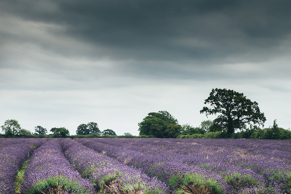 Example of Composition in Photography