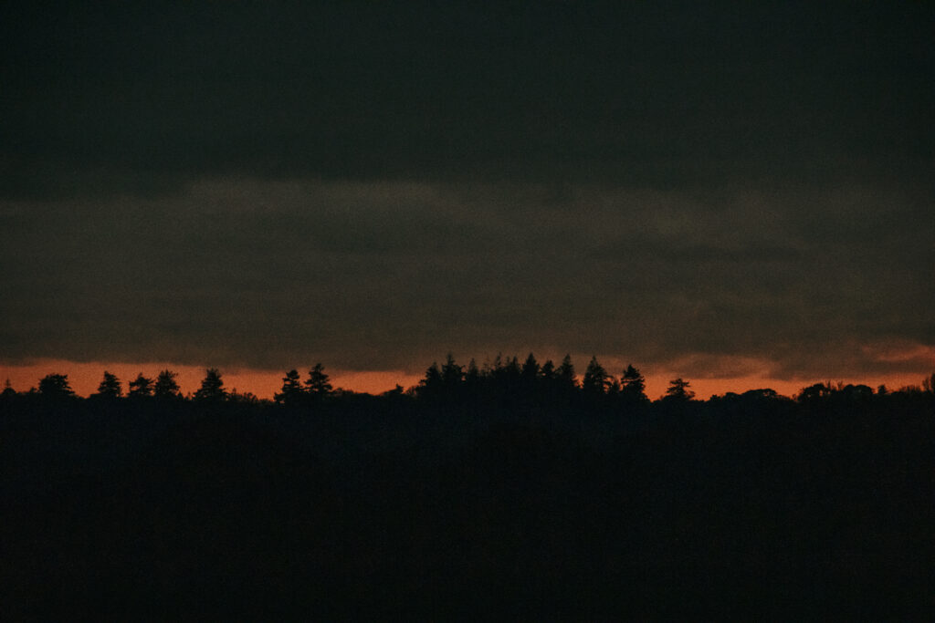 An example of a grainy photo where the ISO is too high.