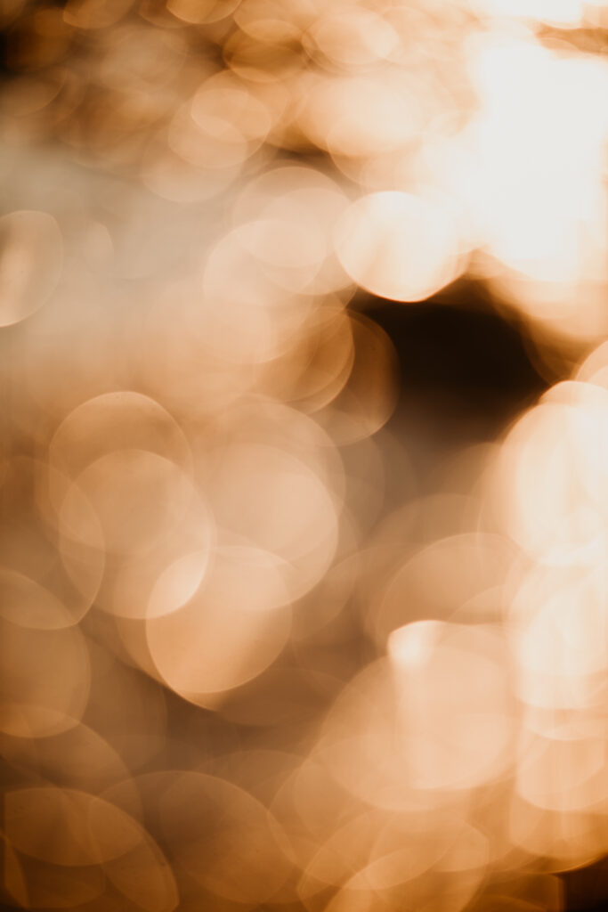 52 week photography challenge: Bokeh.