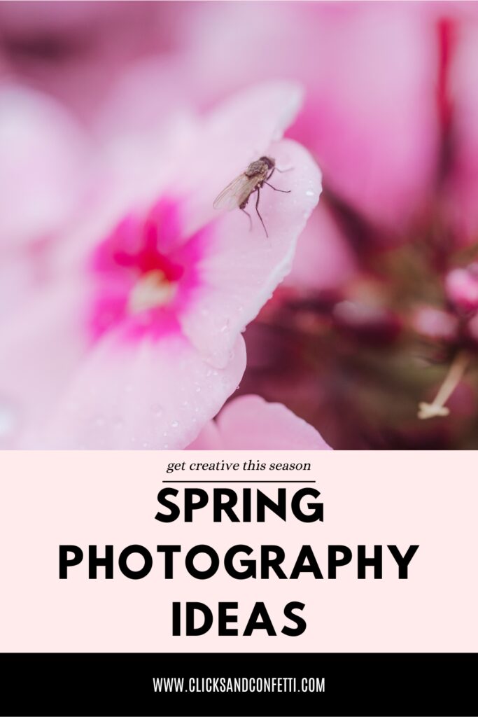 Spring Photography Ideas