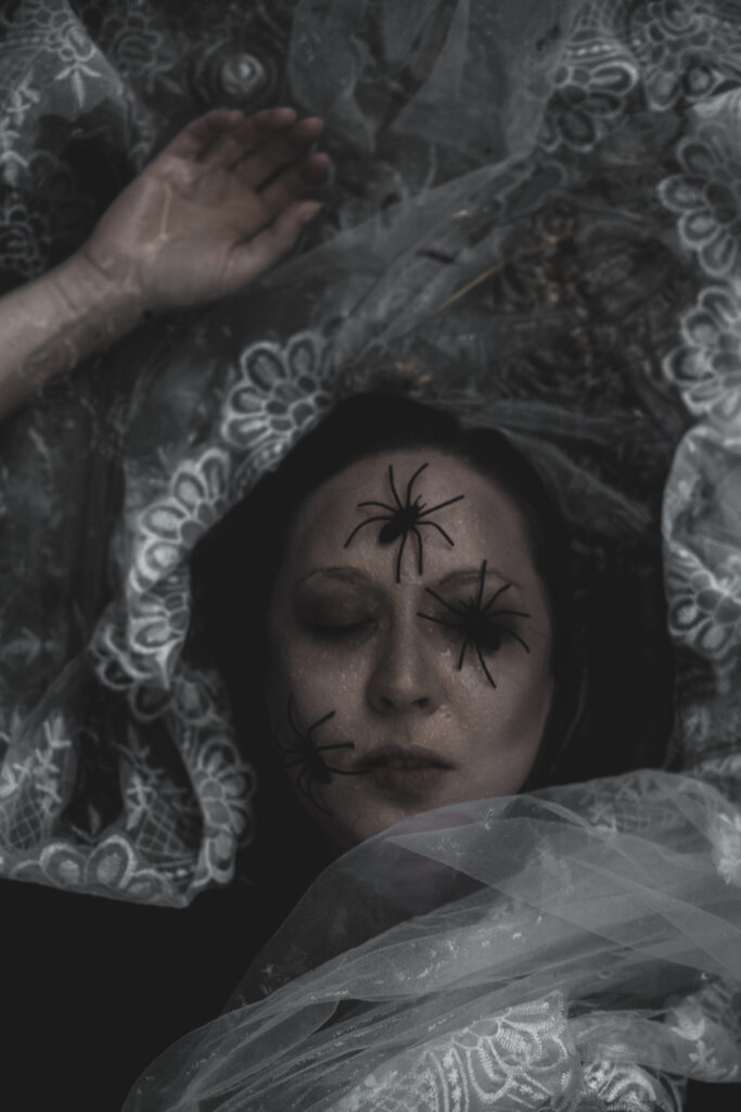 Spider halloween photo