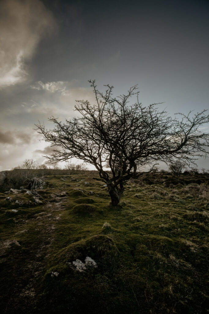 winter photography ideas without snow