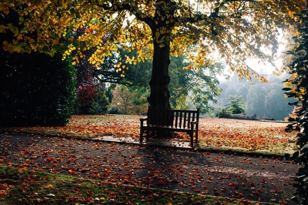 Chester photography, River Dee & Grosvenor Park