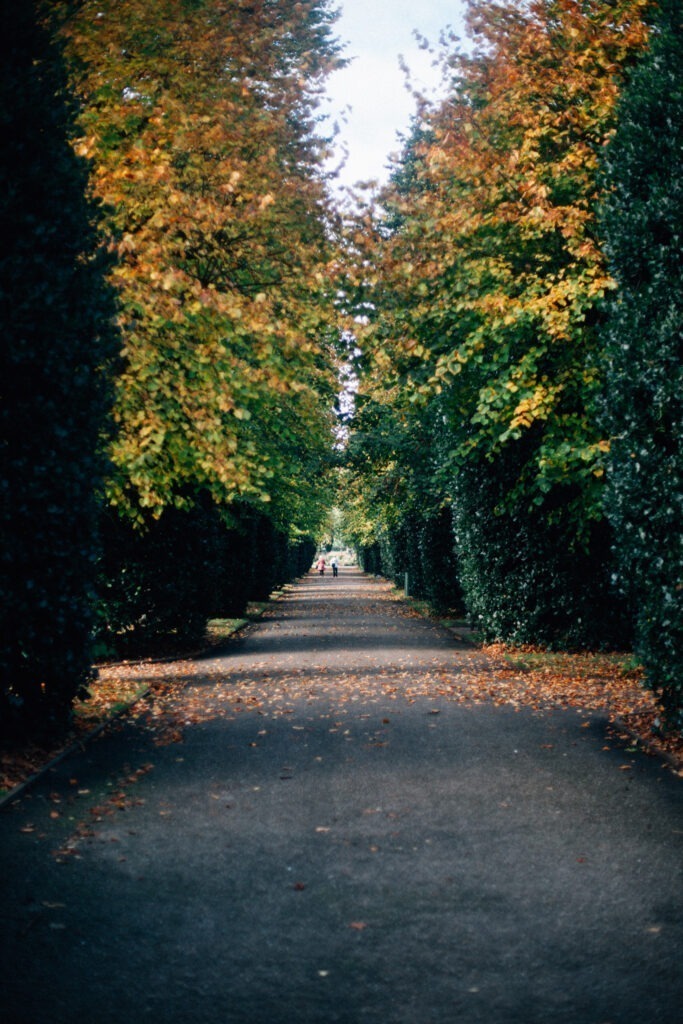 Chester photography, River Dee & Grosvenor Park