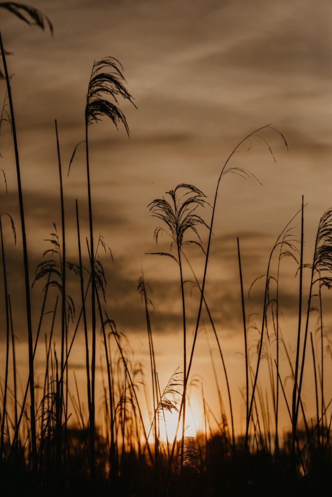 10 Photography Tips That Aren't Boring