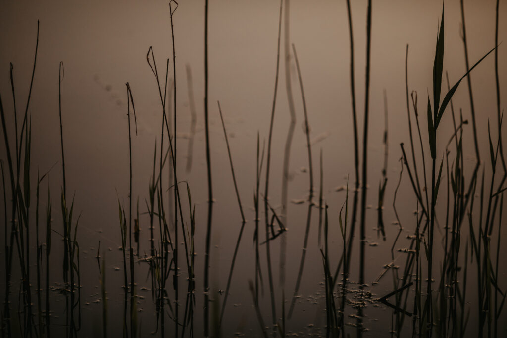 Aesthetic Photography Ideas