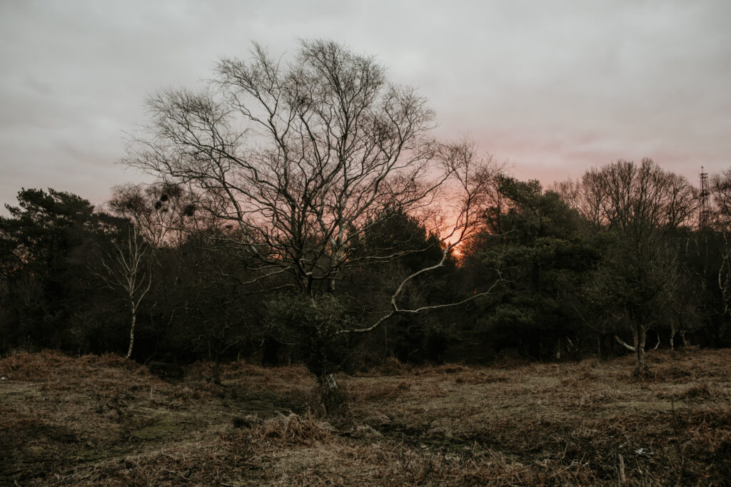 Golden hour landscape before sunrise