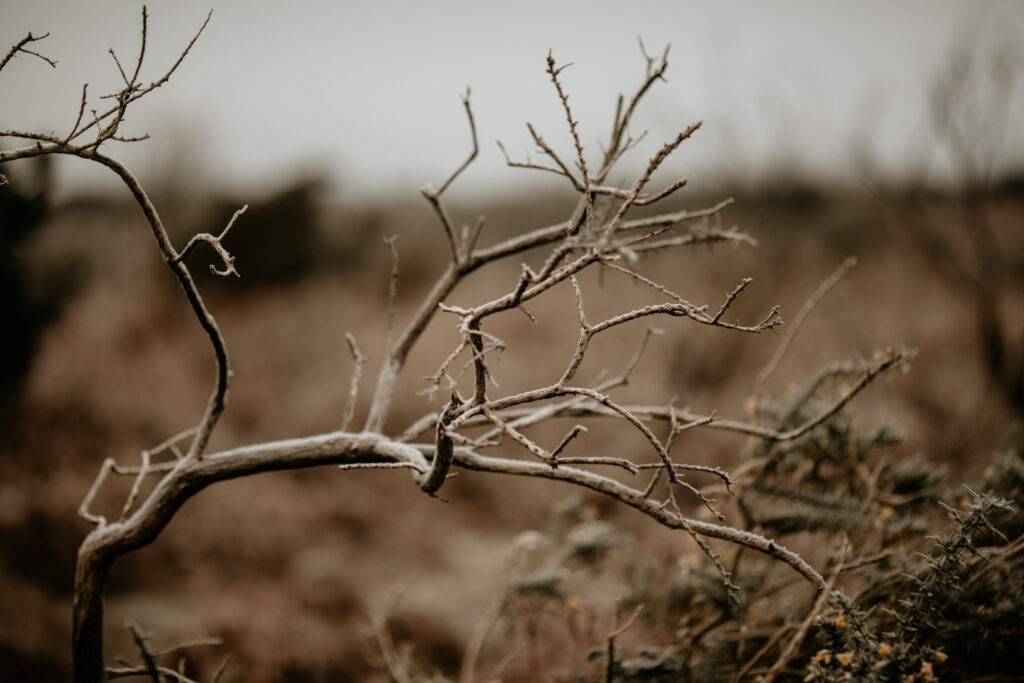 Winter Photography Ideas Without Snow