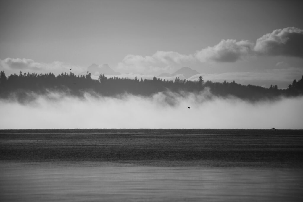Mukilteo beach in the fog