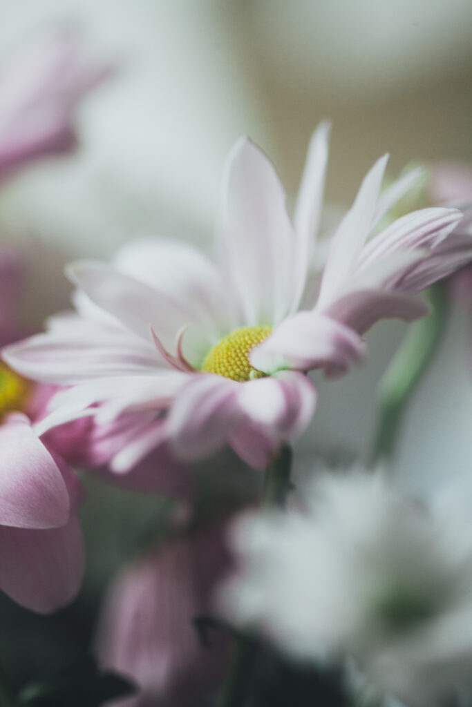 Aesthetic Photography Ideas