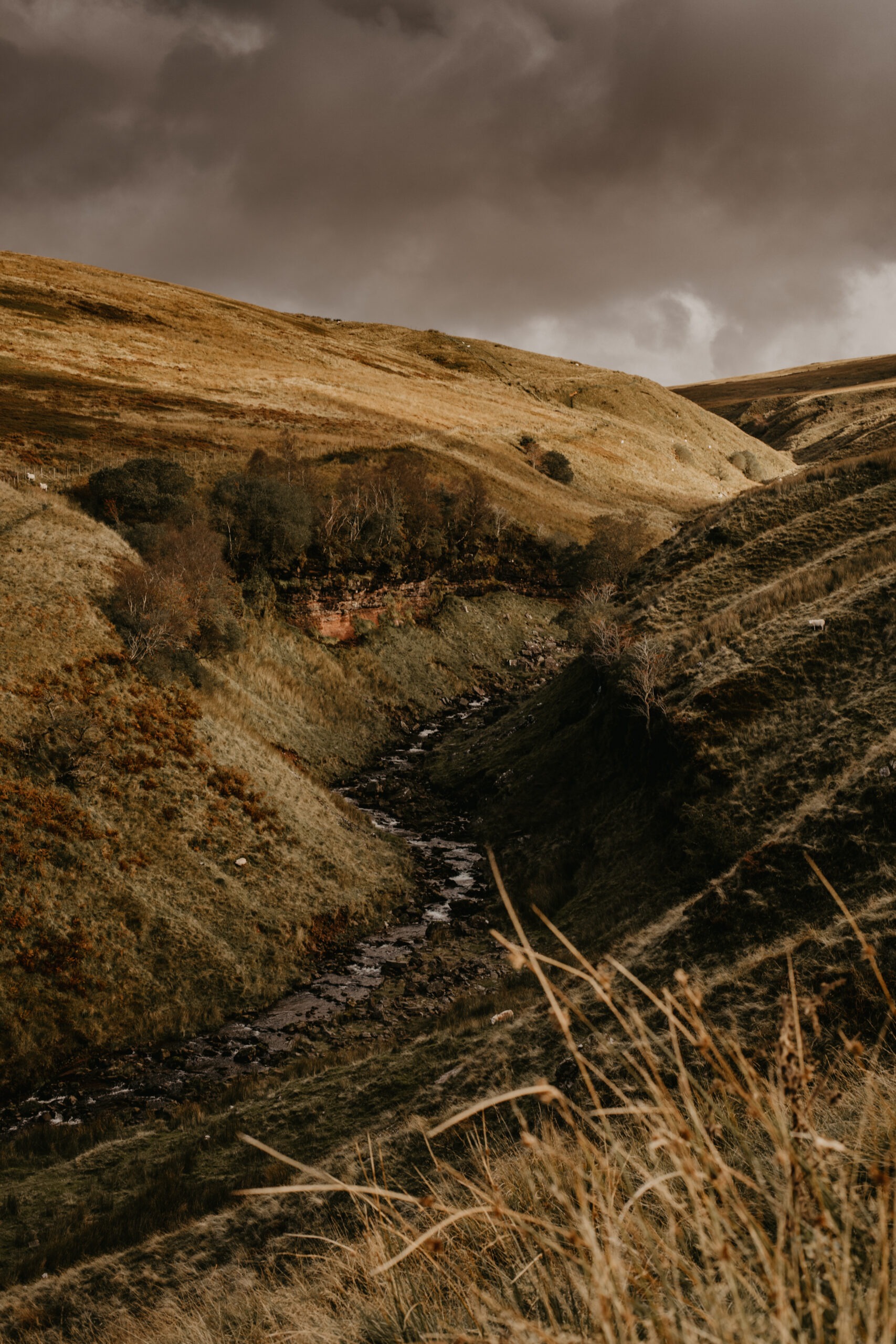 Brecon Beacons Photography
