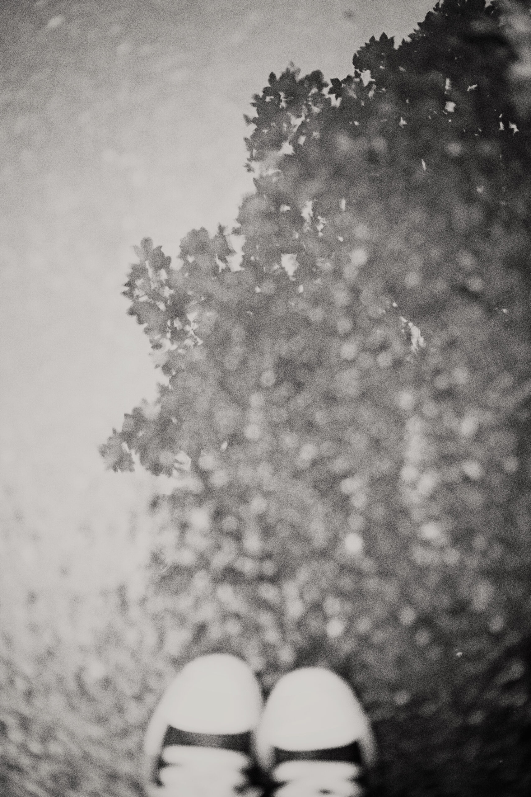 Photography therapy example - black and white photo of shoes in a puddle reflection