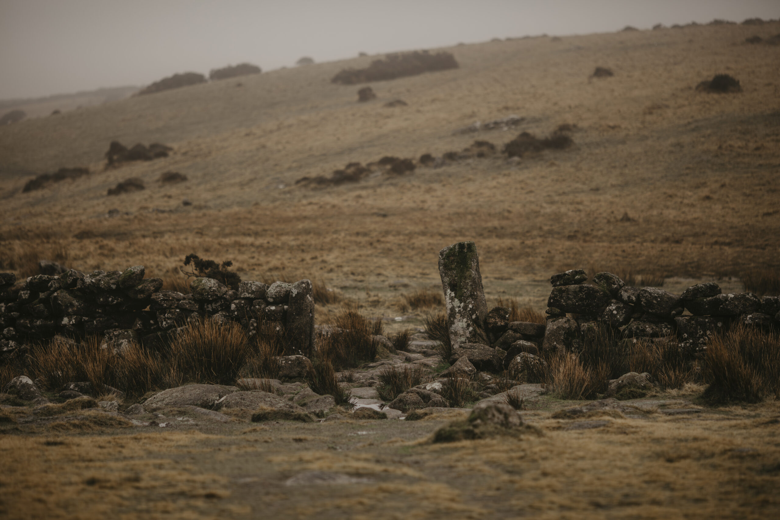 Dartmoor Photography