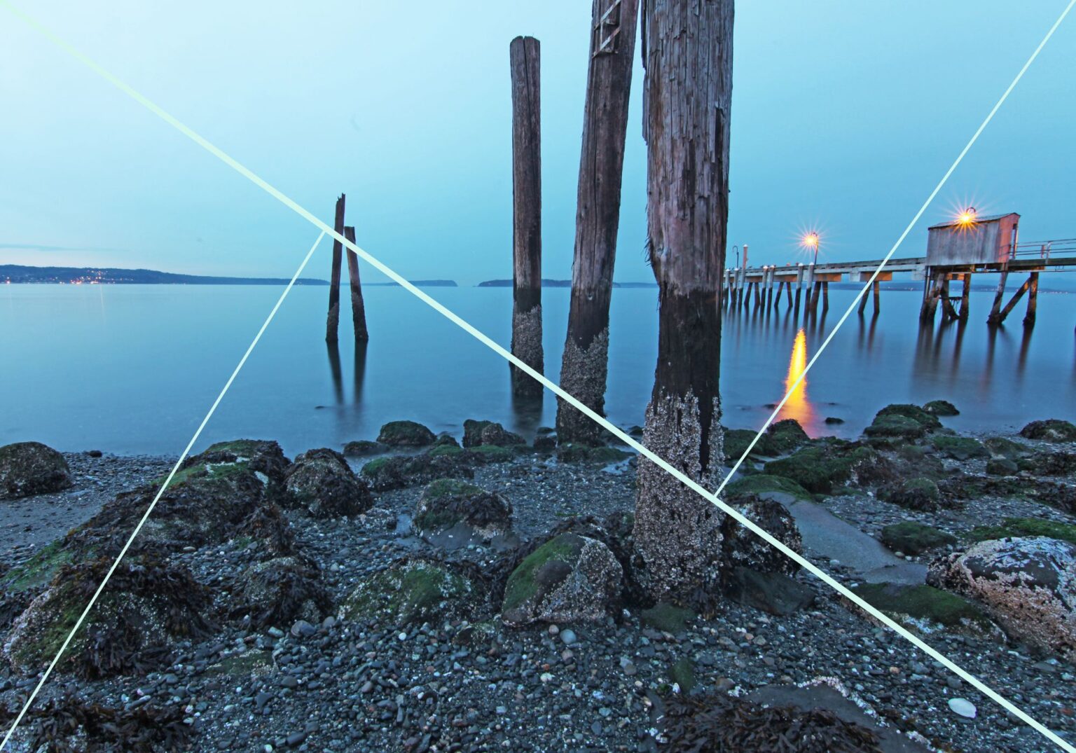 Composition in Photography for Beginners (A Beginner's Guide)