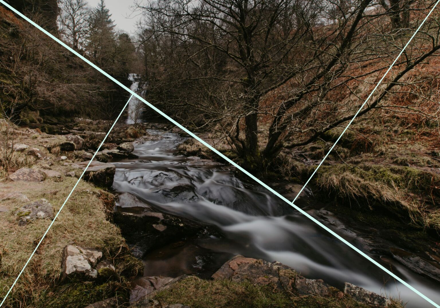Composition in Photography for Beginners (A Beginner's Guide)