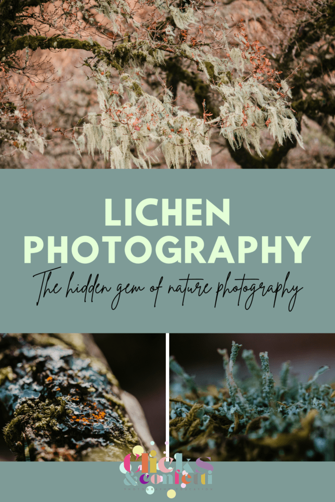 Lichen Photography - The hidden gem of nature photography