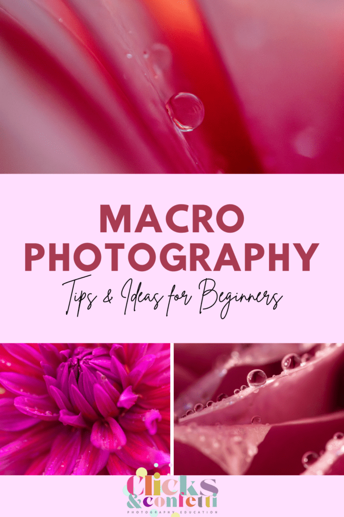 Macro photography ideas for beginners