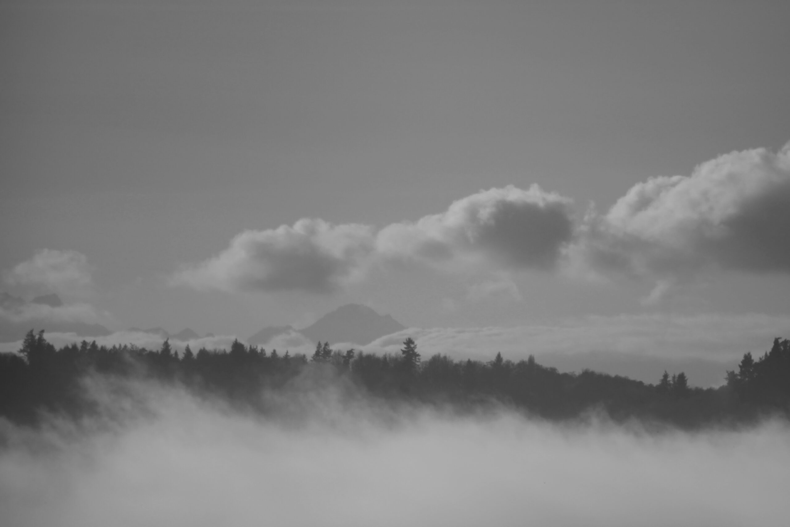 Black and white photograph of mountains and pine trees peeking out of the clouds.