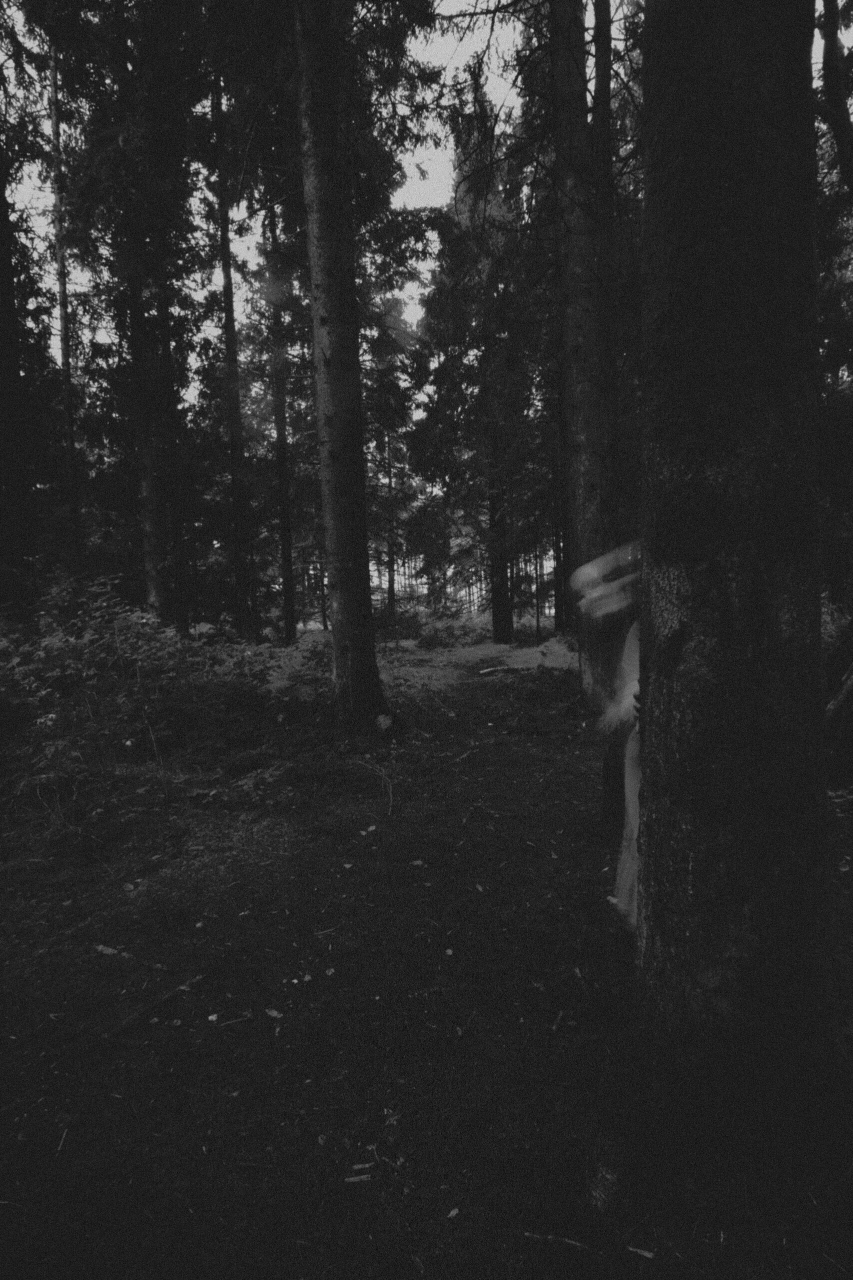 Black and white spooky self portrait, long exposure of masked figure behind tree in dark forest
