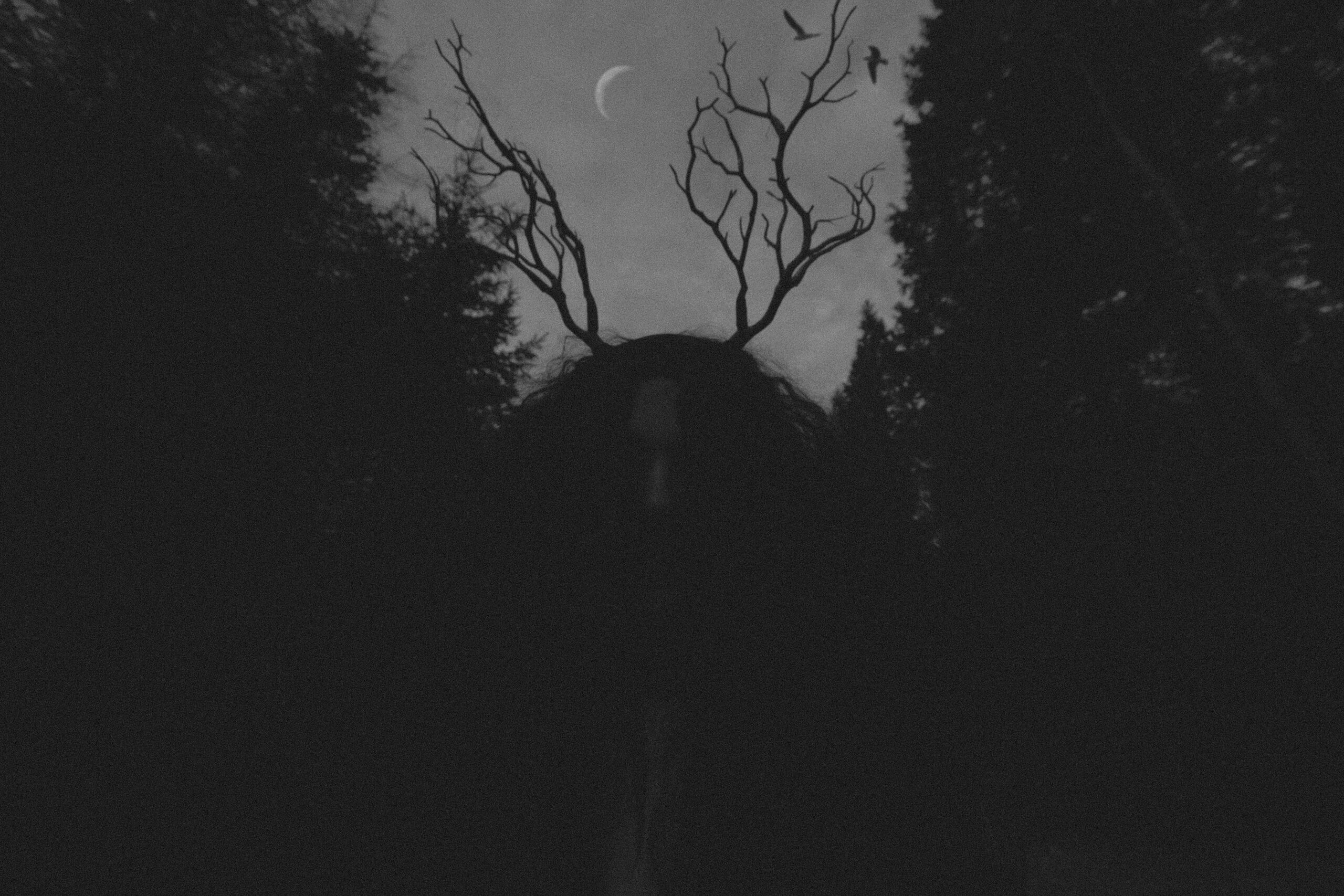 Silhouette self portrait with branch antlers and crescent moon in the forest