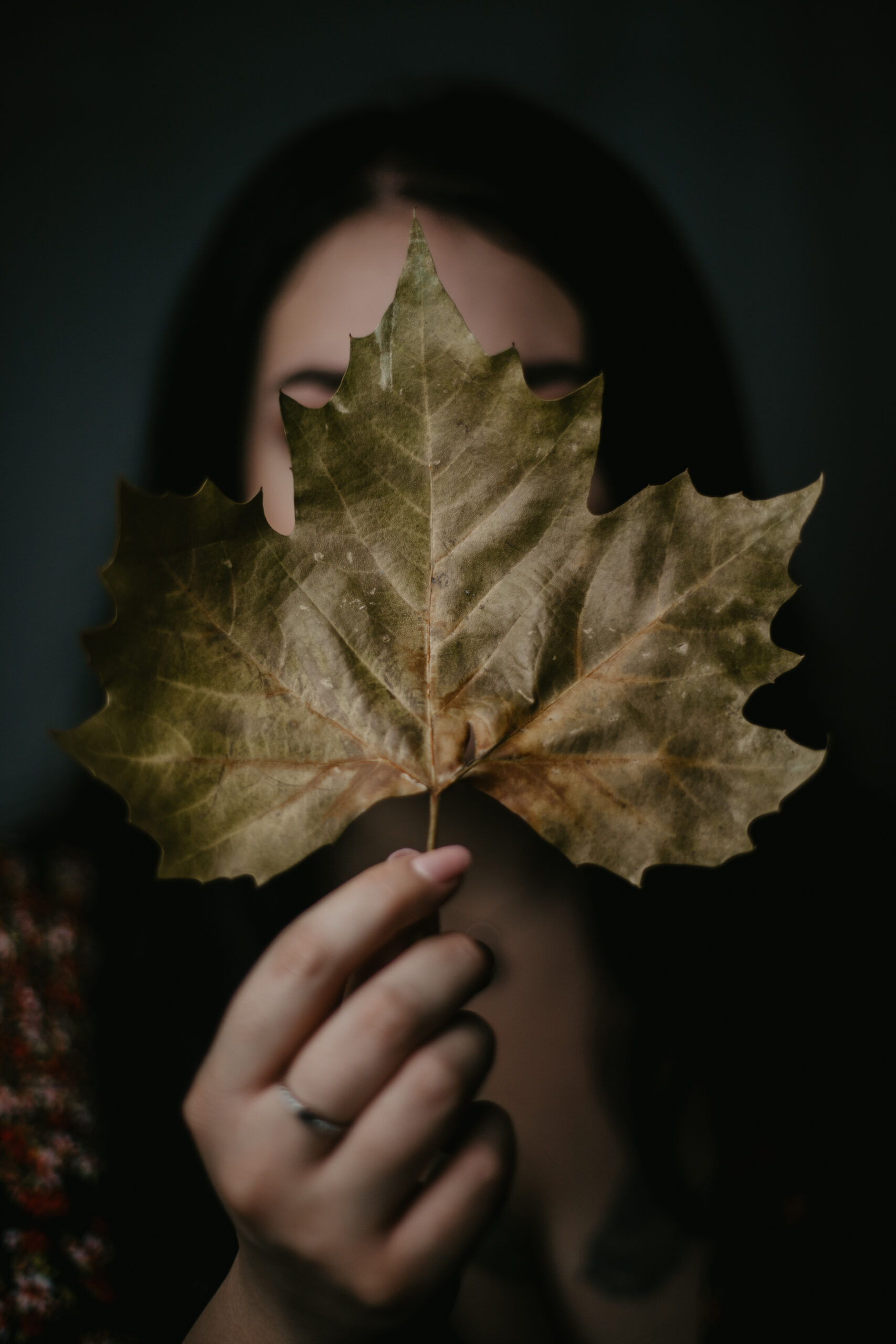 Faceless self portrait of woman covering face with a giant maple leaf