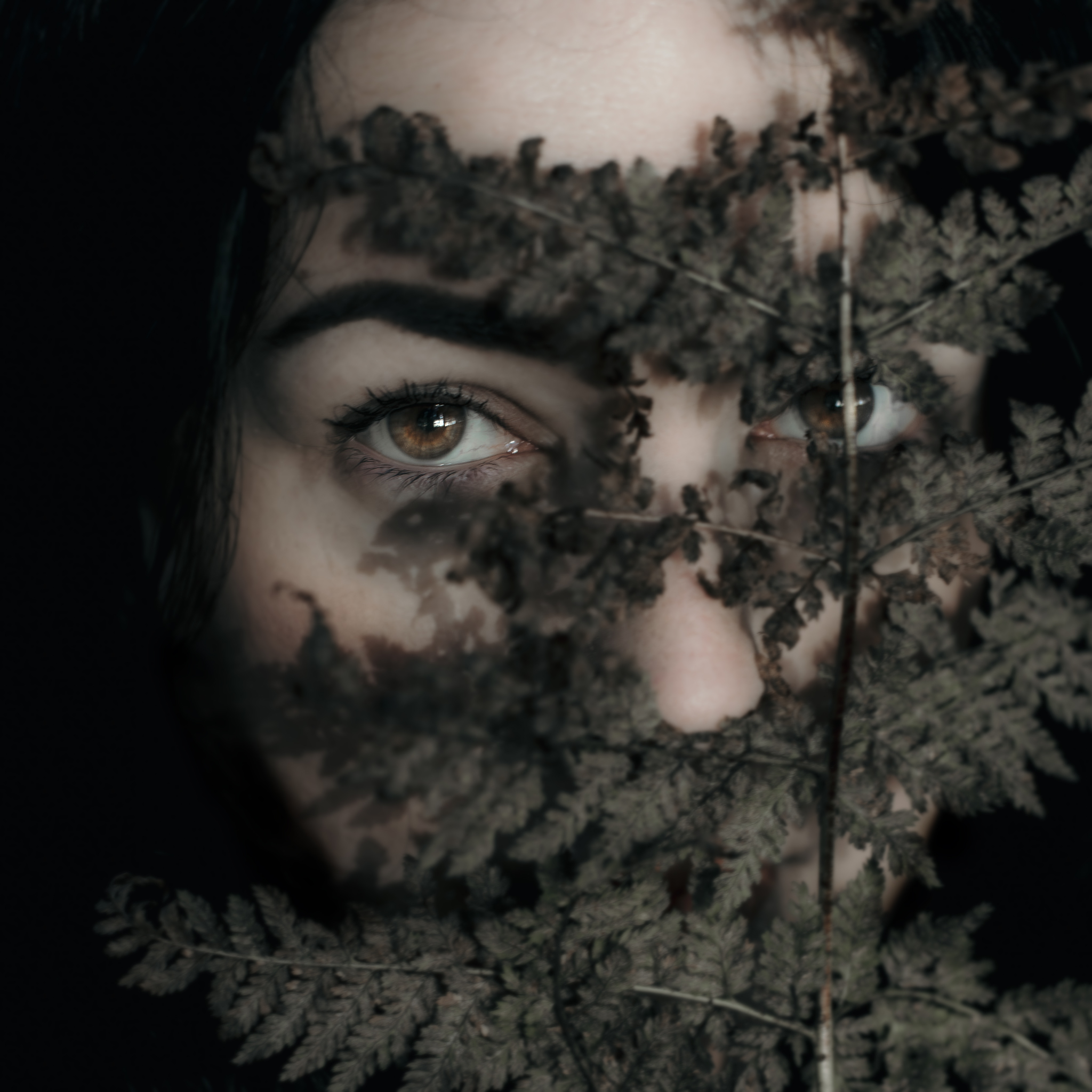 Self portrait of eye with face hidden by a rotting fern 