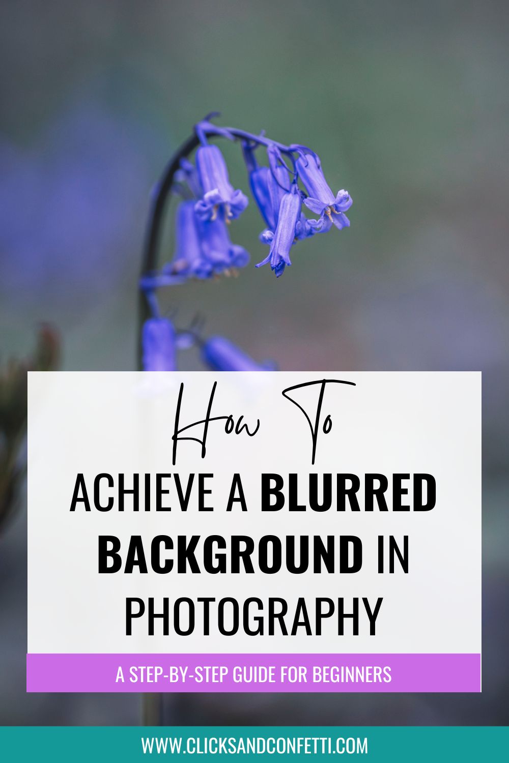 How to Achieve a Blurred Background In Photography
