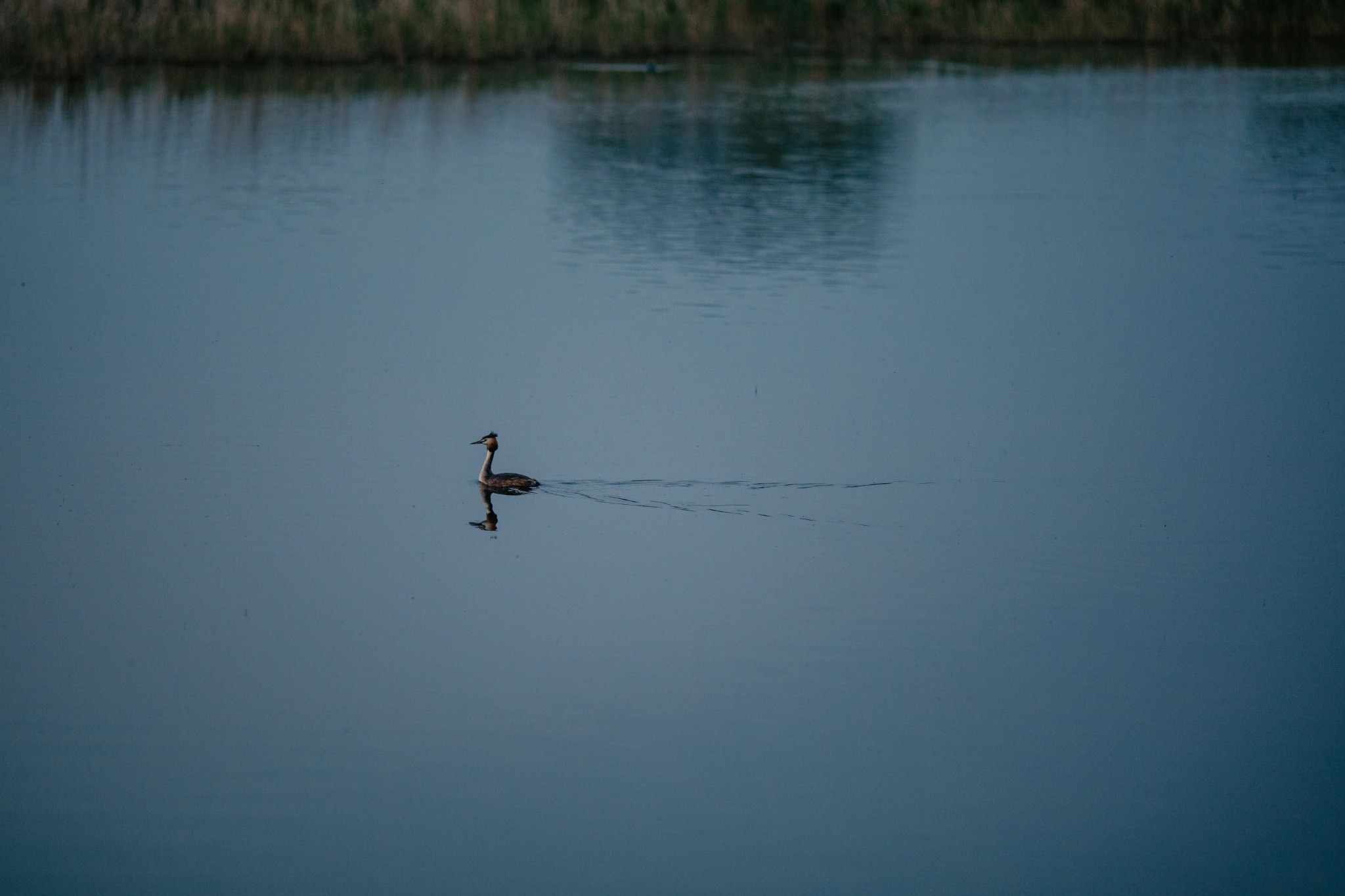 nature photography ideas for beginners