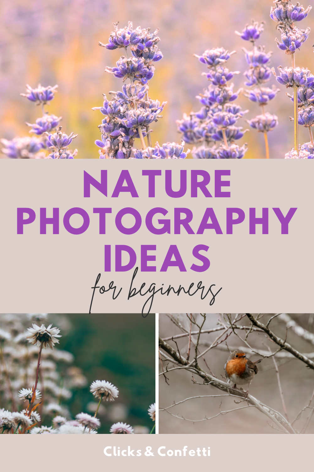 Nature Photography Ideas for Beginners