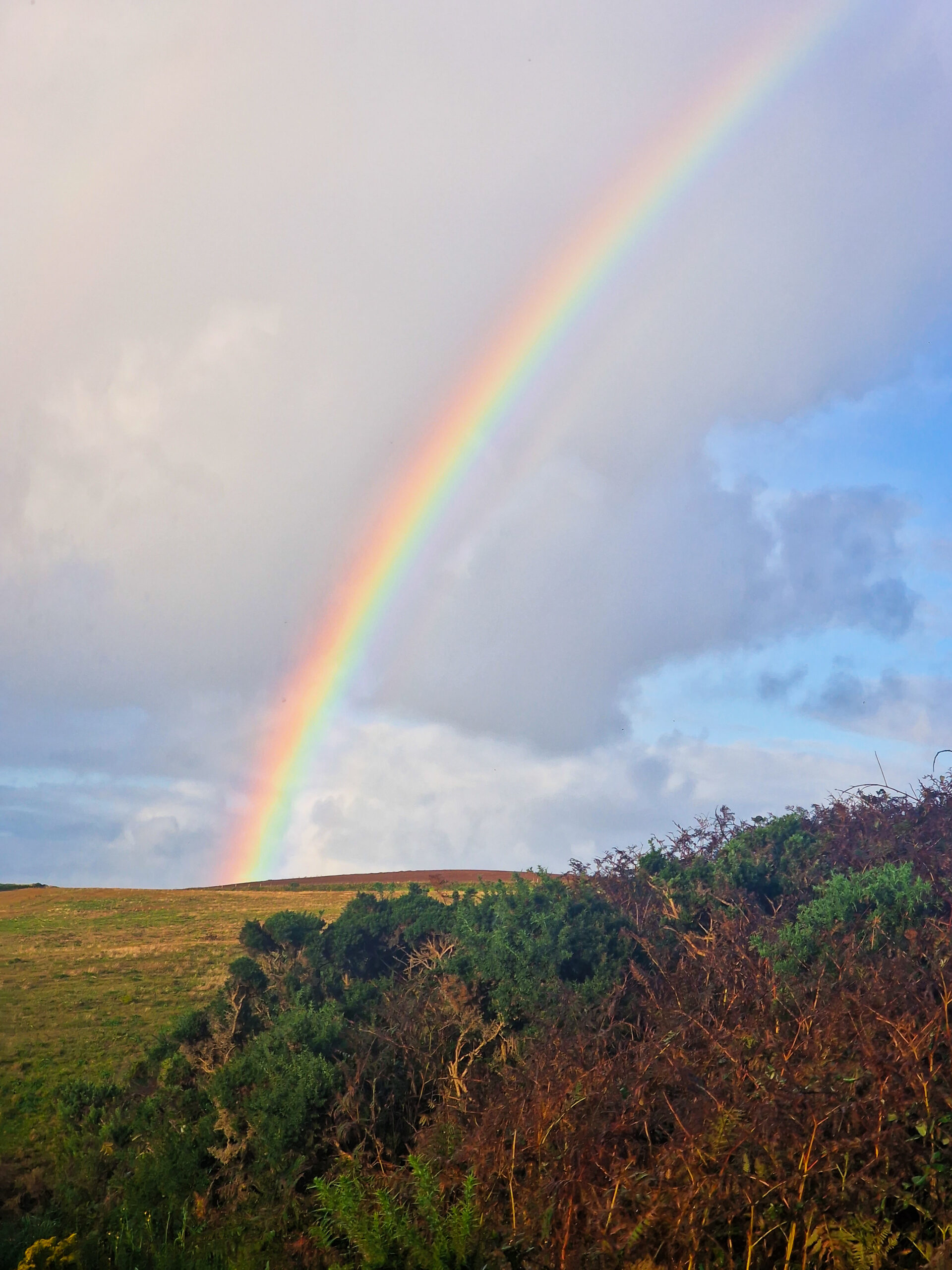 Rainbow on pembrokeshire coastal path