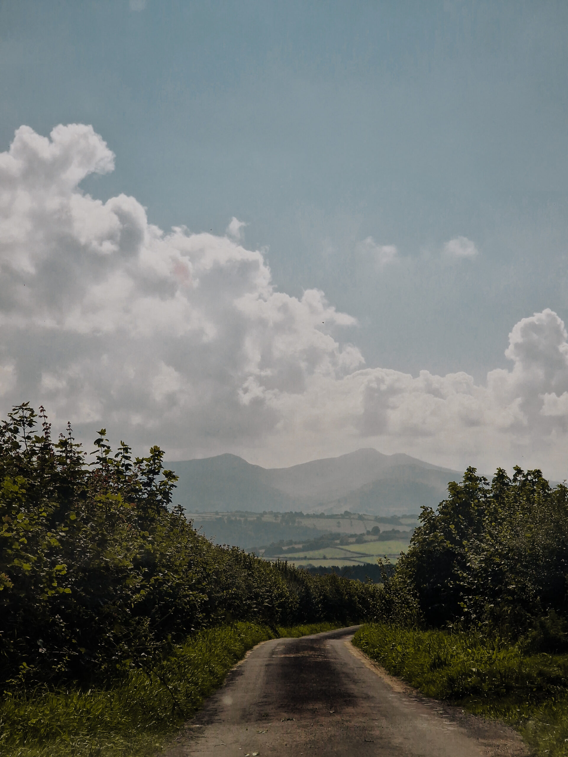 How to Take Good Hiking Photos (Even On Your Phone)