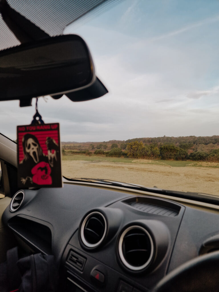 picture of the inside of a car with the new forest as a view
