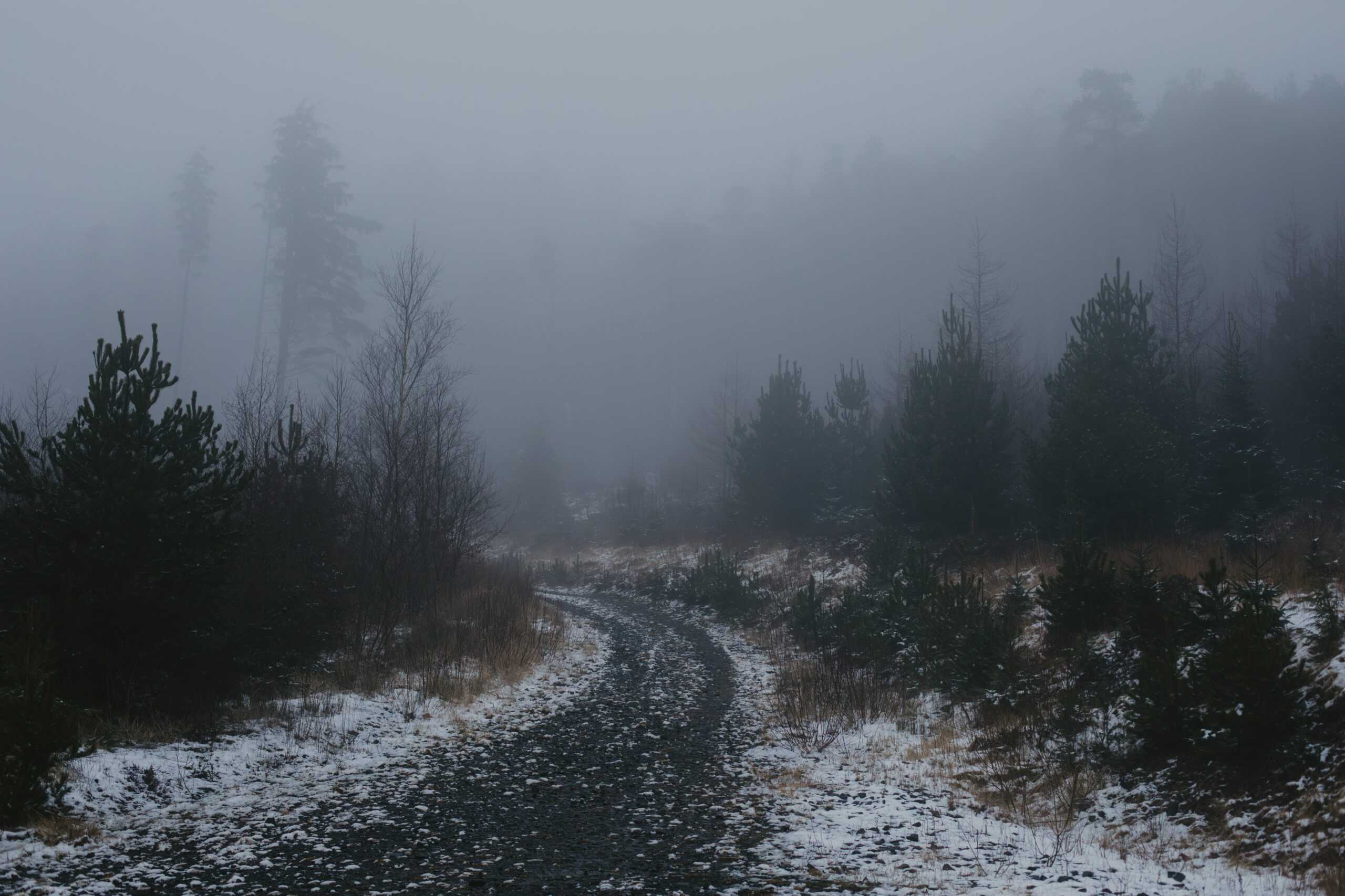 Leading lines in photography. How to take good hiking photos. Snow and fog in mountain forest.