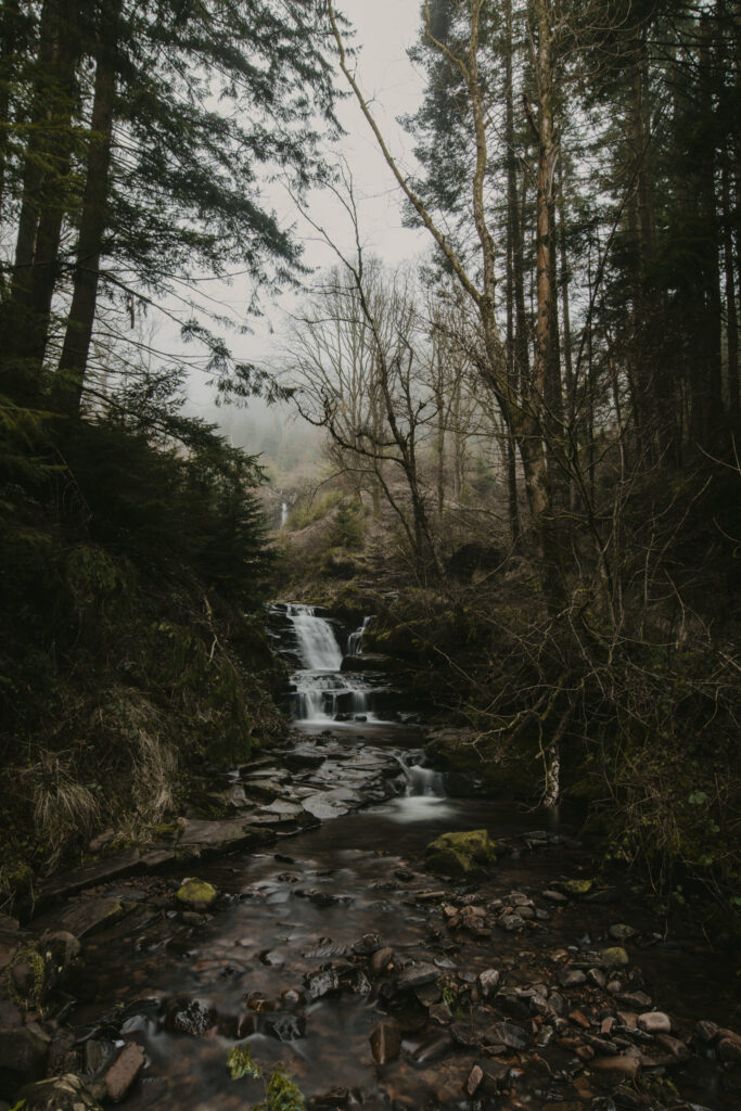Photography Roadmap