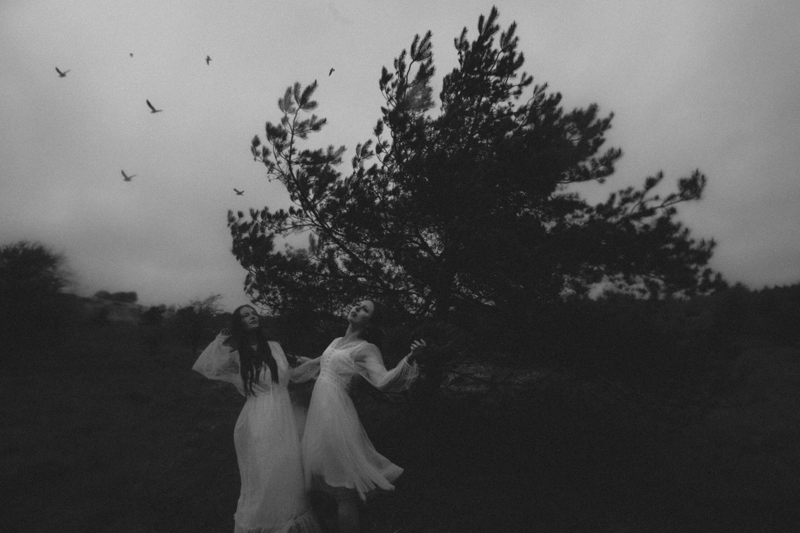 how to become a professional photographer